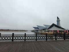 -盐城丹顶鹤湿地生态旅游区