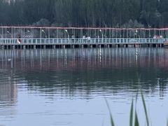 -东湖公园
