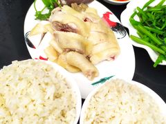 鸡油饭-文昌鸡饭店110号(中山路店)