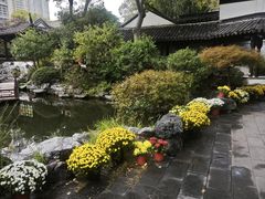 -南京市民俗博物馆(甘熙故居)