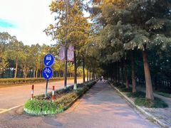-上海长兴岛郊野公园
