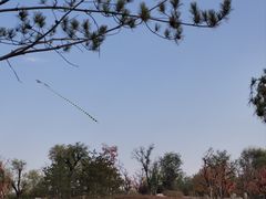 -汉长安城未央宫国家考古遗址公园