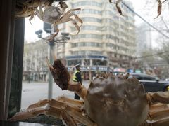 -新花城蟹粉馆(乌鲁木齐店)