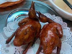 -石岐乳鸽村(南海第三分店)