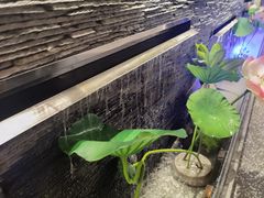 -大榕树下顺德菜(融创茂店)