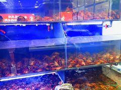 -虾铺子龙虾·私房菜(金源花苑店)