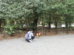 -热田神宫