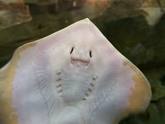 -珠海长隆海洋王国