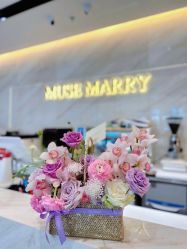 -MuseMarry婚纱(前海嘉里中心店)
