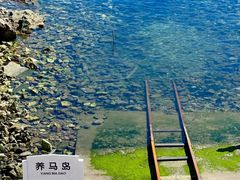 -养马岛旅游度假区