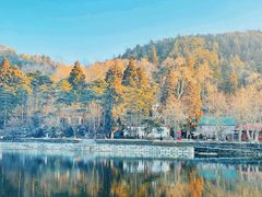 -庐山风景区花径公园