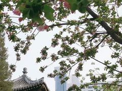 -海棠花溪(元大都城垣遗址公园)