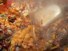 -师烤·豆花烤鱼(广州荔湾扬韬广场店)