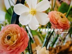 -北京四季酒店