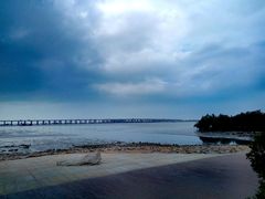 -宝安西湾红树林湿地公园