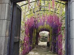 -两江国际影视城