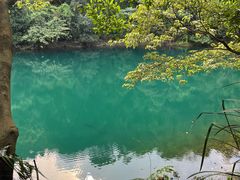 -鼎湖山风景区
