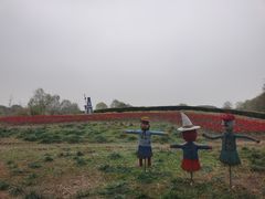 -梁鸿国家湿地公园