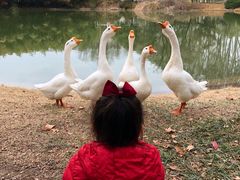 -河南省黄河迎宾馆