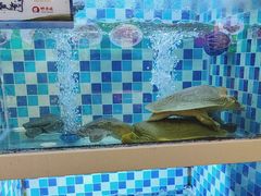 -野渡坡·极致湘菜·庭院餐厅(汉阳店)