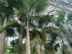 -南山植物园