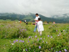 -新疆那拉提国家旅游度假区