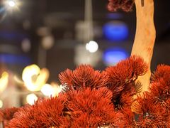 -唐猫庭院·千年陕菜(赛格国际购物中心店)