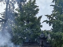 -洛阳白马寺