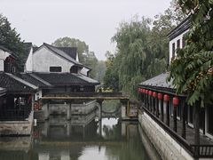 -鲁镇