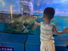 -烟台海昌鲸鲨海洋公园