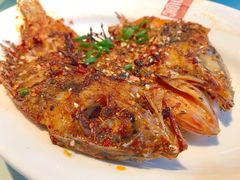 -真爱中国餐馆·年华店(朱雀大街店)