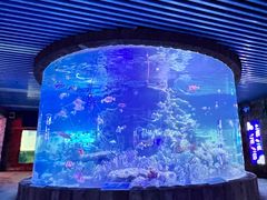 -左海海底世界
