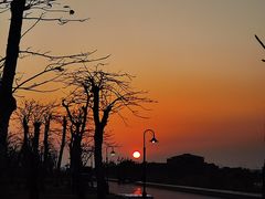 -芒洲湿地公园