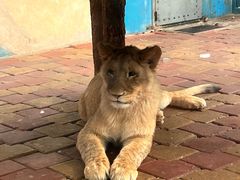 -大连森林动物园