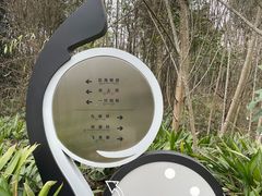 -桤木河湿地公园