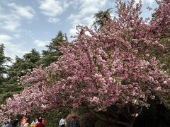 -洛阳市隋唐城遗址植物园