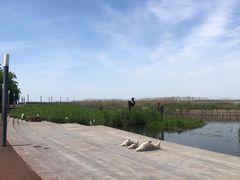 -苏州东太湖生态园