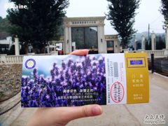 -紫海香堤香草艺术庄园