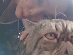 -more than meow吴止猫主题餐厅(承德 中船汇店)