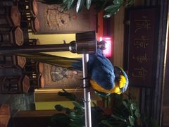 iphone_upload_pic-那家小馆•北京菜•烤鸭(中关村店)