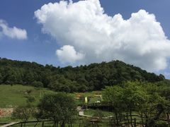 -大水川景区