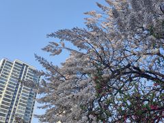 -红星桥(地铁站)