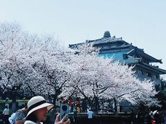 -武汉大学-樱园
