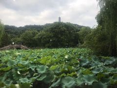-石榴院子(西施故里店)