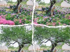 -名花谷生态庄园