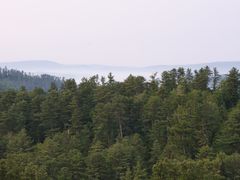 -五营红松林海景区