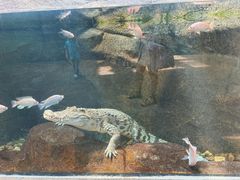 -波塞冬海底世界