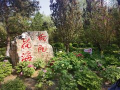-太阳宫公园