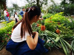 -南通洲际绿博园