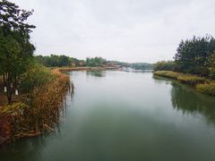 -大兴滨河森林公园
